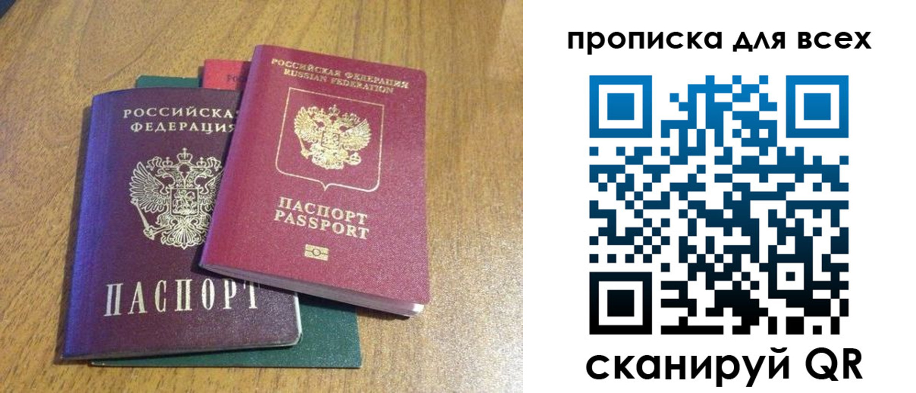 прописка гарантия в Палласовке